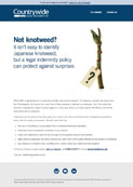 Not knotweed?